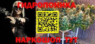 твердый Владикавказ