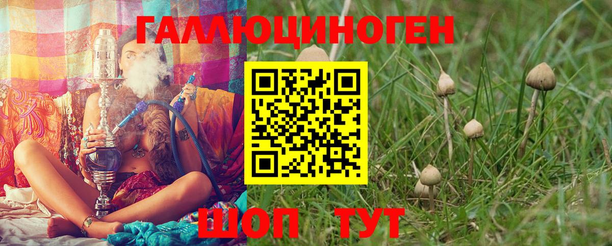 Галлюциногенные грибы ЛСД Муром